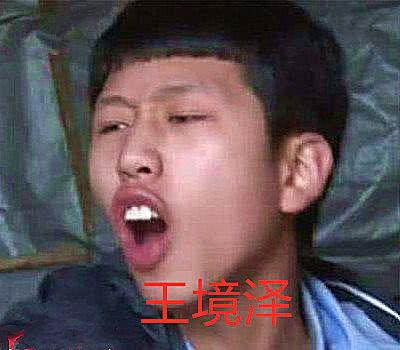 表情包红人泽成,网络红人的魅力与影响力